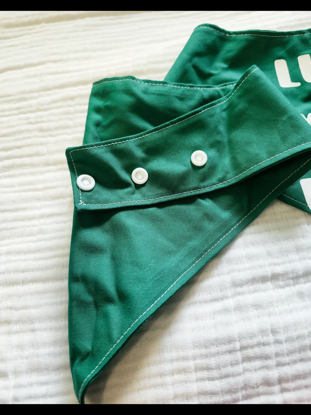 Set of 10 Large & XL Holiday Dog Bandanas – EcoPaws, Lucy & Co. & More